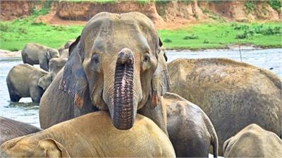 ウィルパットゥ国立公園