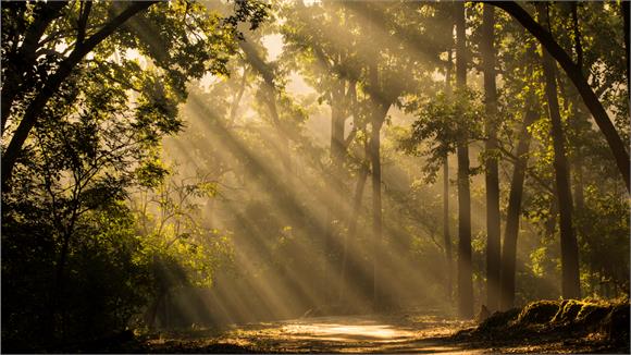 Corbet’s Gap Trek (Hunnasgiriya)